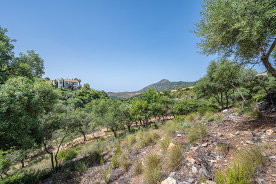 Land in La Zagaleta - Image 3