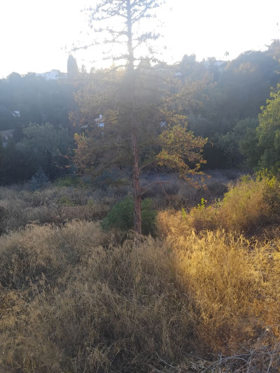 Residential Plot in La Quinta - Image 2