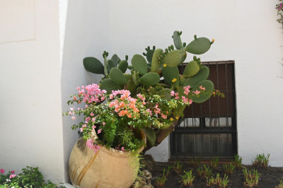 2 Bedroom Ground Floor Apartment in Nueva Andalucía - Image 5