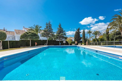 3 Bedroom Ground Floor Apartment in Nueva Andalucía - Image 2