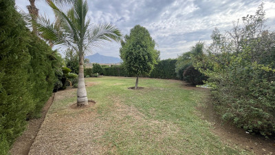 2 Bedroom Ground Floor Apartment in Nueva Andalucía - Image 3