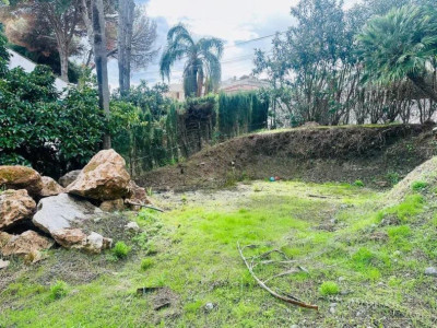 Residential Plot in Nueva Andalucía - Image 1