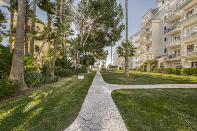 3 Bedroom Ground Floor Apartment in Puerto Banús - Image 3