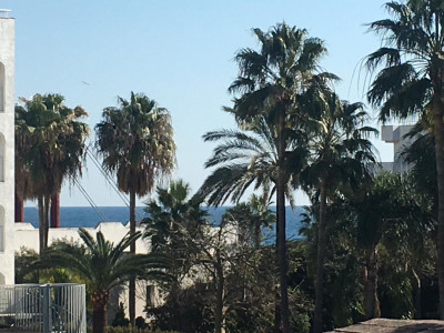 Properties For Sale In La Isla Puerto Banus Nueva Andalucia Living