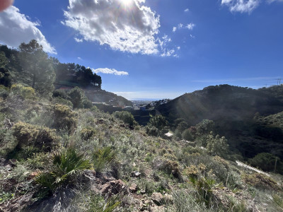Residential Plot in El Madroñal - Image 1