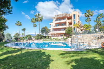 3 Bedroom Ground Floor Apartment in Nueva Andalucía - Image 2