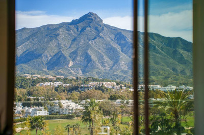 5 Bedroom Detached Villa in Nueva Andalucía - Image 1