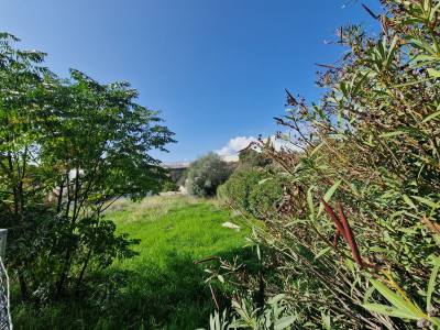 Residential Plot in Nueva Andalucía - Image 4