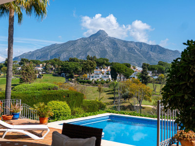 7 Bedroom Detached Villa in Nueva Andalucía - Image 3