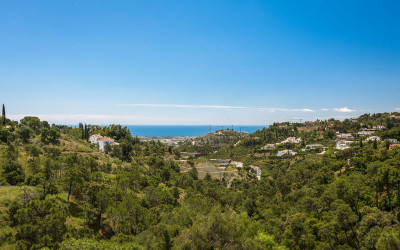 Land in El Madroñal - Image 1