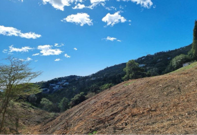 Land in El Madroñal - Image 4