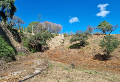 Land in El Madroñal - Image 5