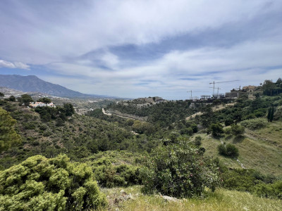 Residential Plot in El Madroñal - Image 3
